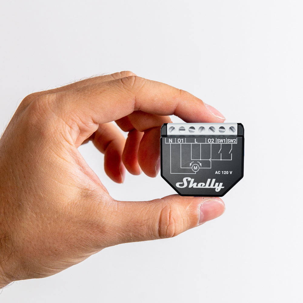 Shelly Qubino Shutter