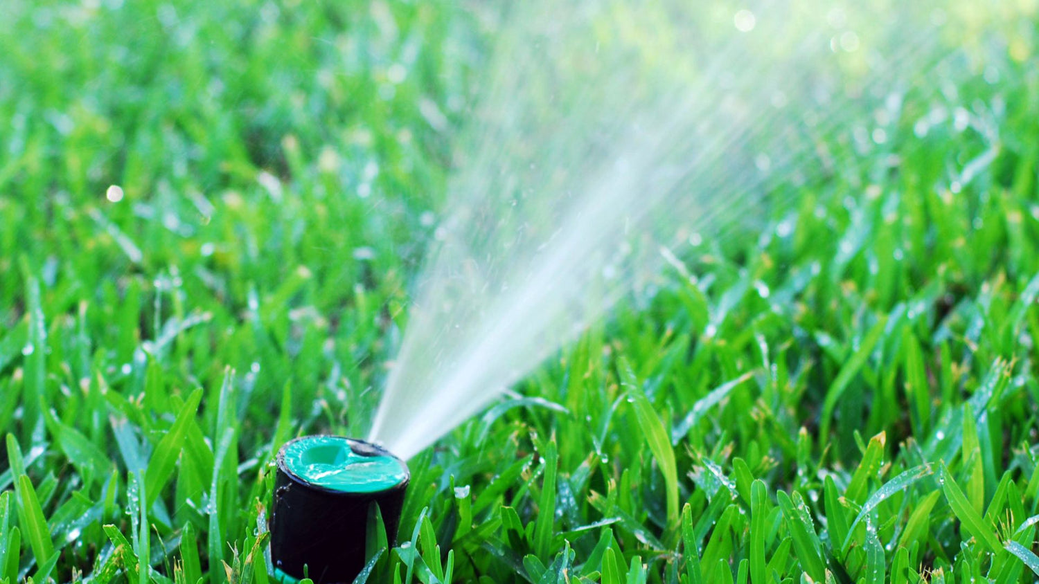 Smart Irrigation control