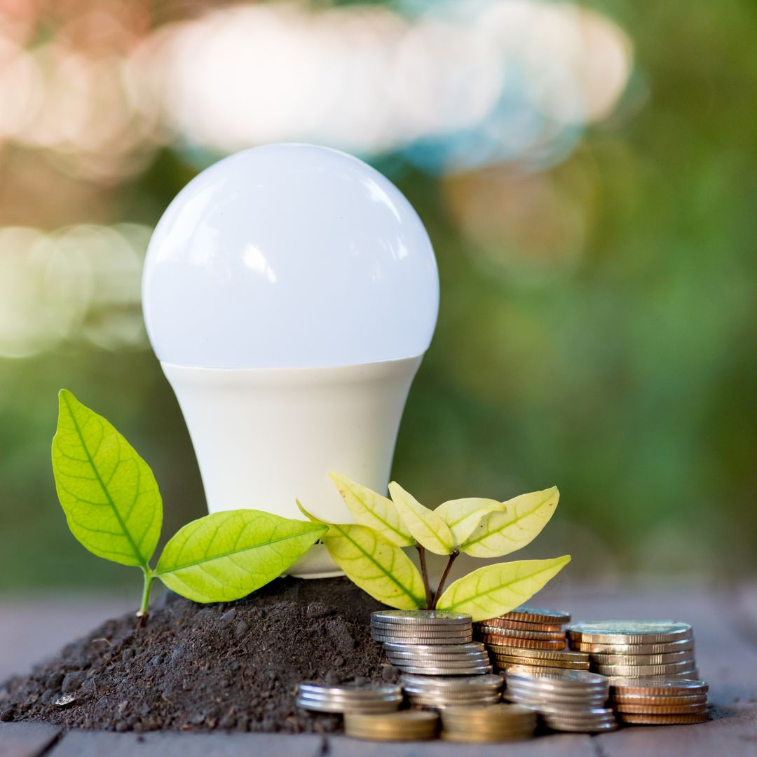 Pile of coins, a bulb and some tree leaves