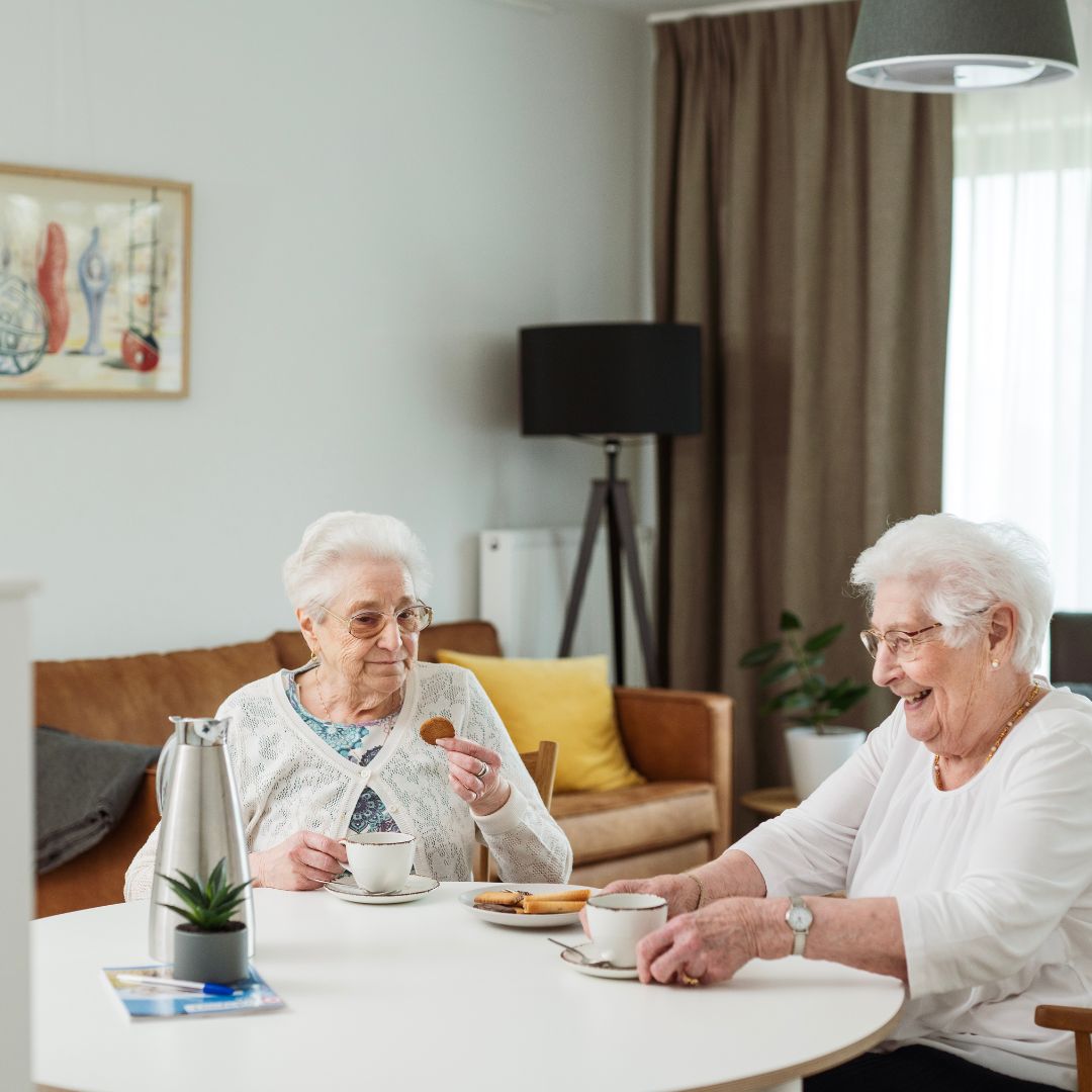 two ladies having tea in the living room where nobi is installed