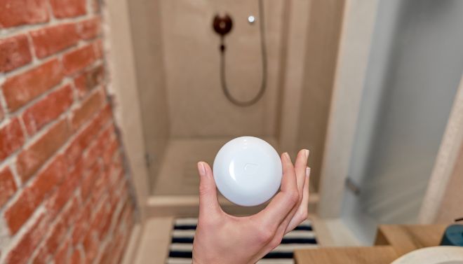 Smart home for safety and security. Water and gas leaks