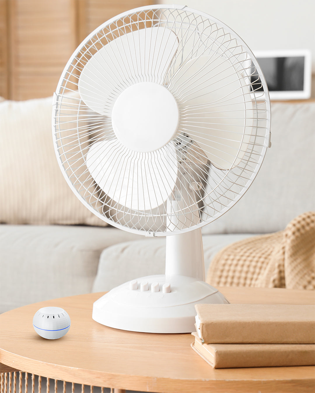 Shelly Wave H&T. Sensor de temperatura y humedad Z-Wave para la automatización del hogar inteligente.