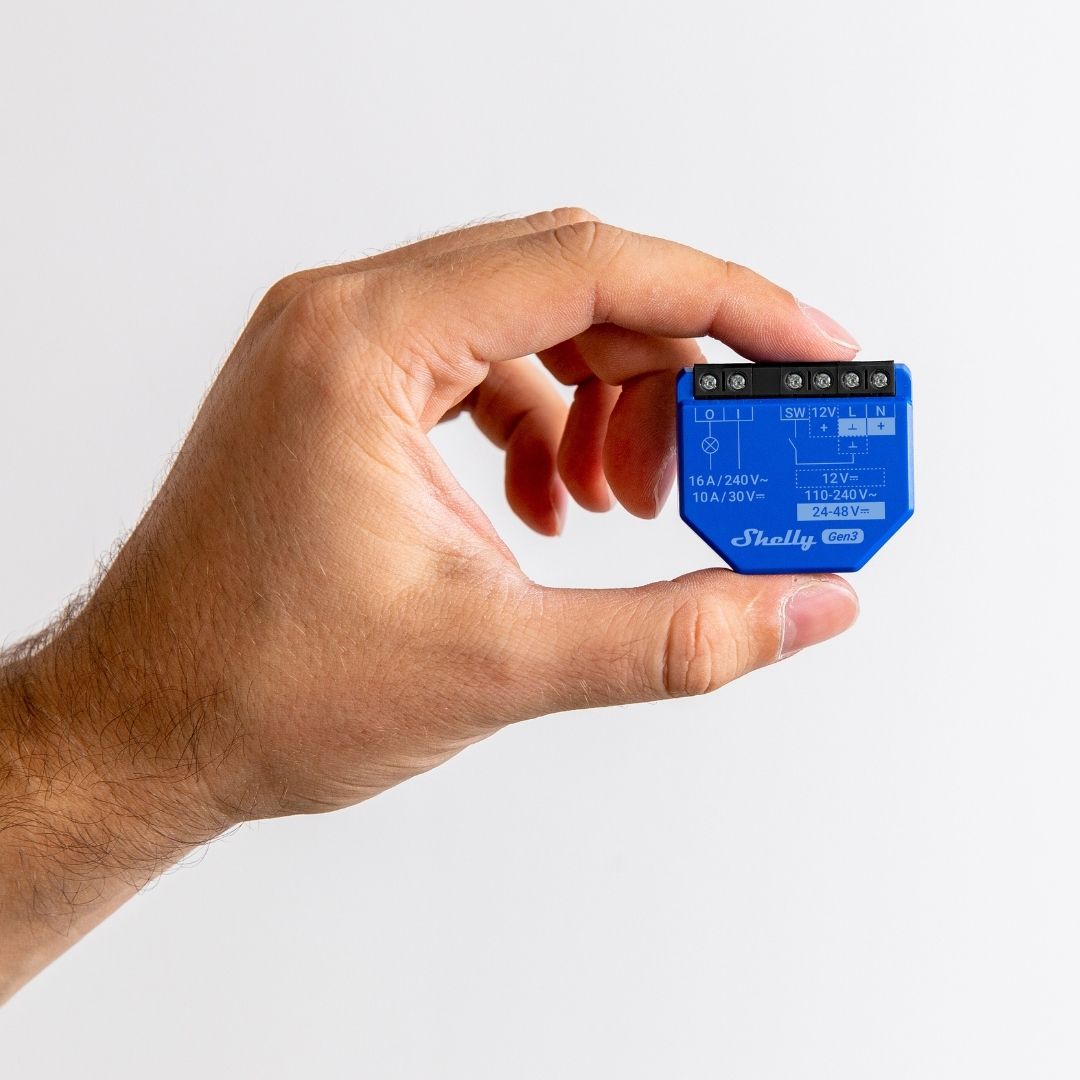 バレエ Shelly Shelly Wave Pro 1 US - Shelly USA