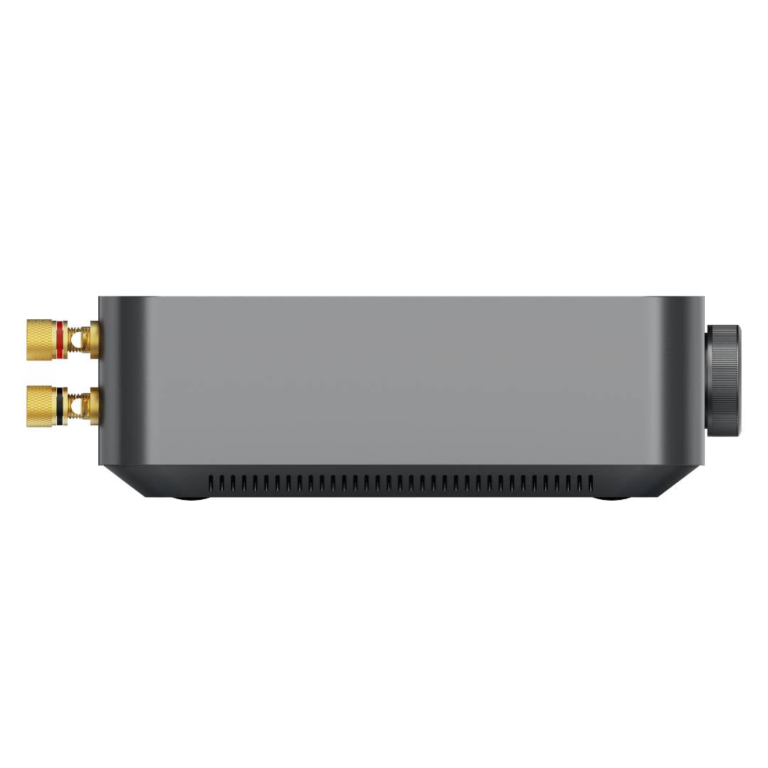 WiiM Amp