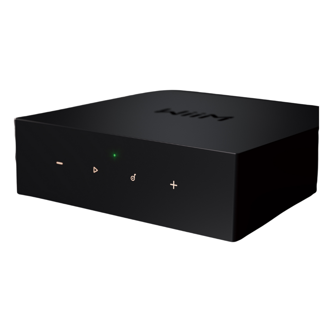 WiiM CI mod S