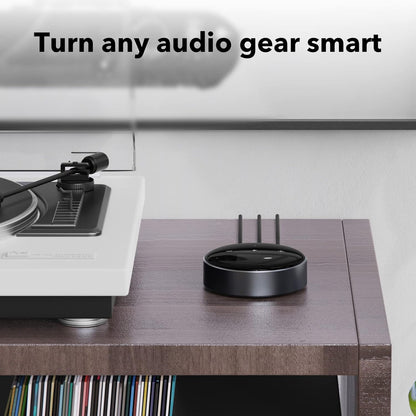 WiiM Mini