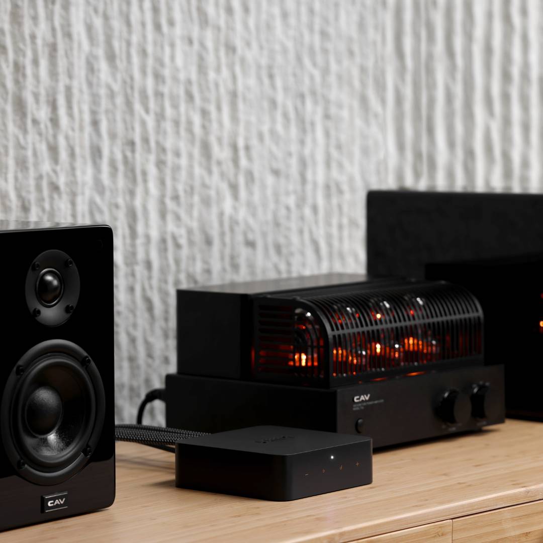 WiiM Pro Plus