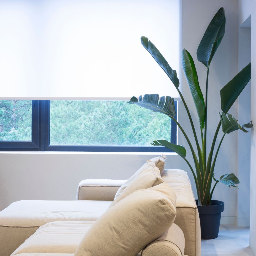 living room with roller blinds raised