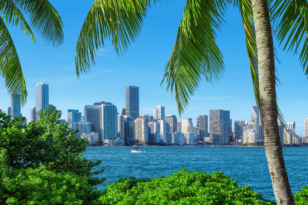 View of the Miami coast with buildings and palm trees