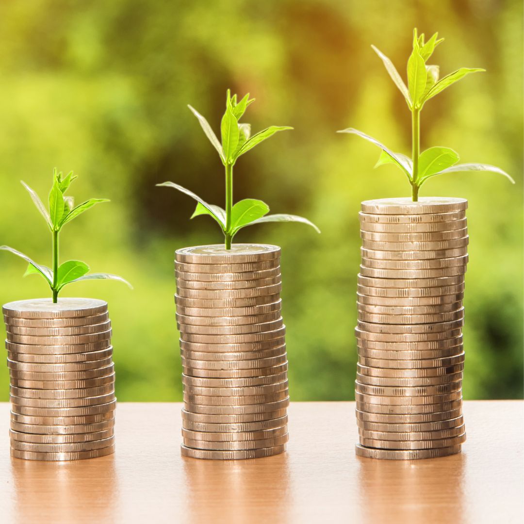 Stacked coins with a little plant