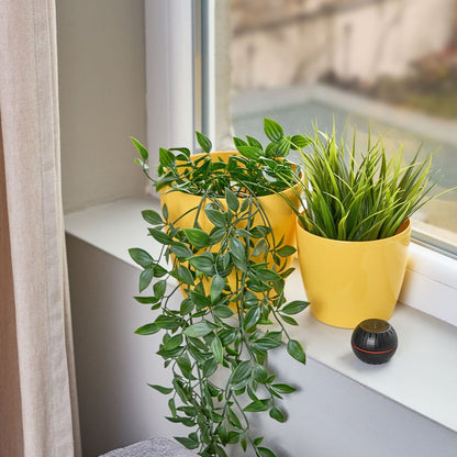 Shelly humidity and temperature sensor next to a pot