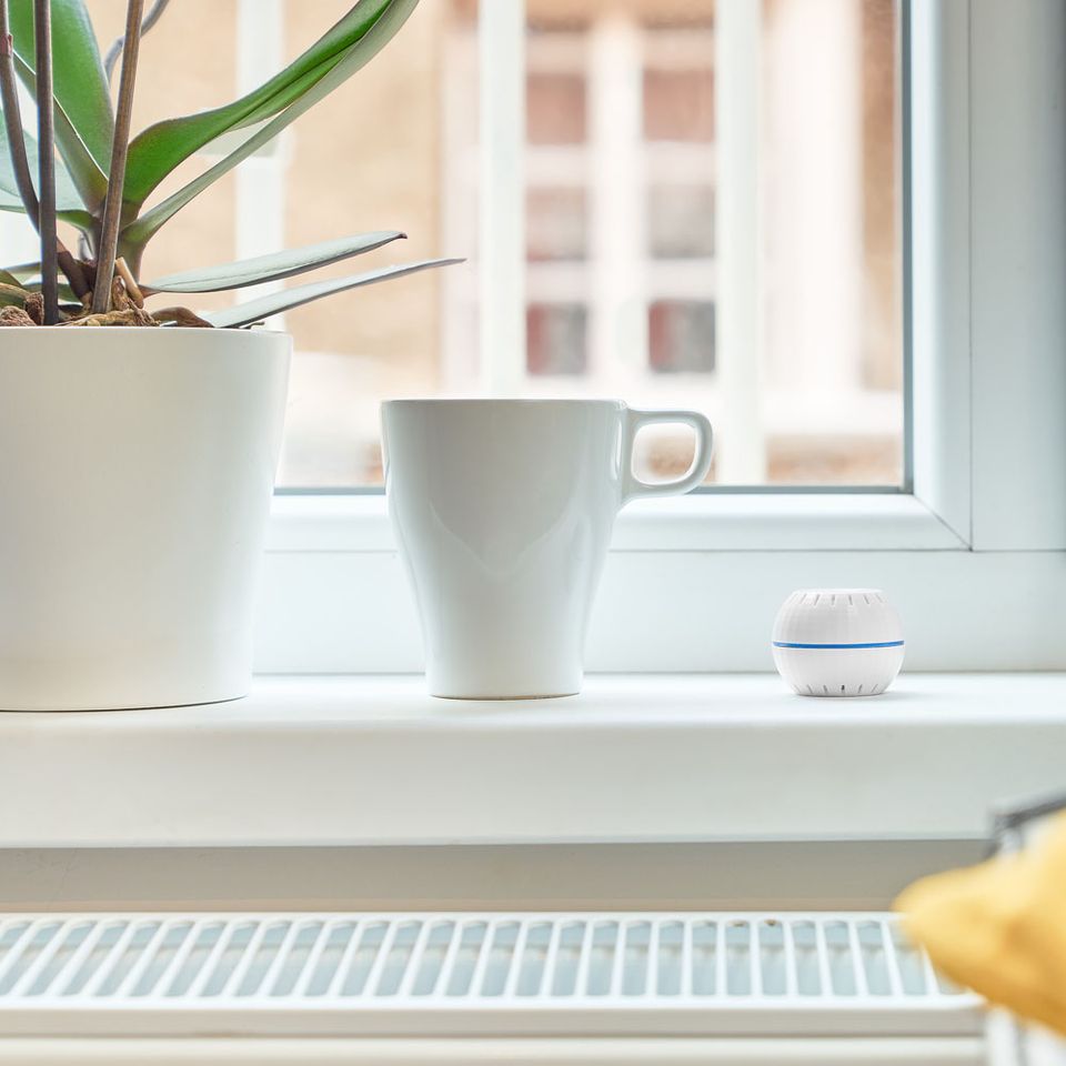 Shelly humidity and temperature sensor next to a window