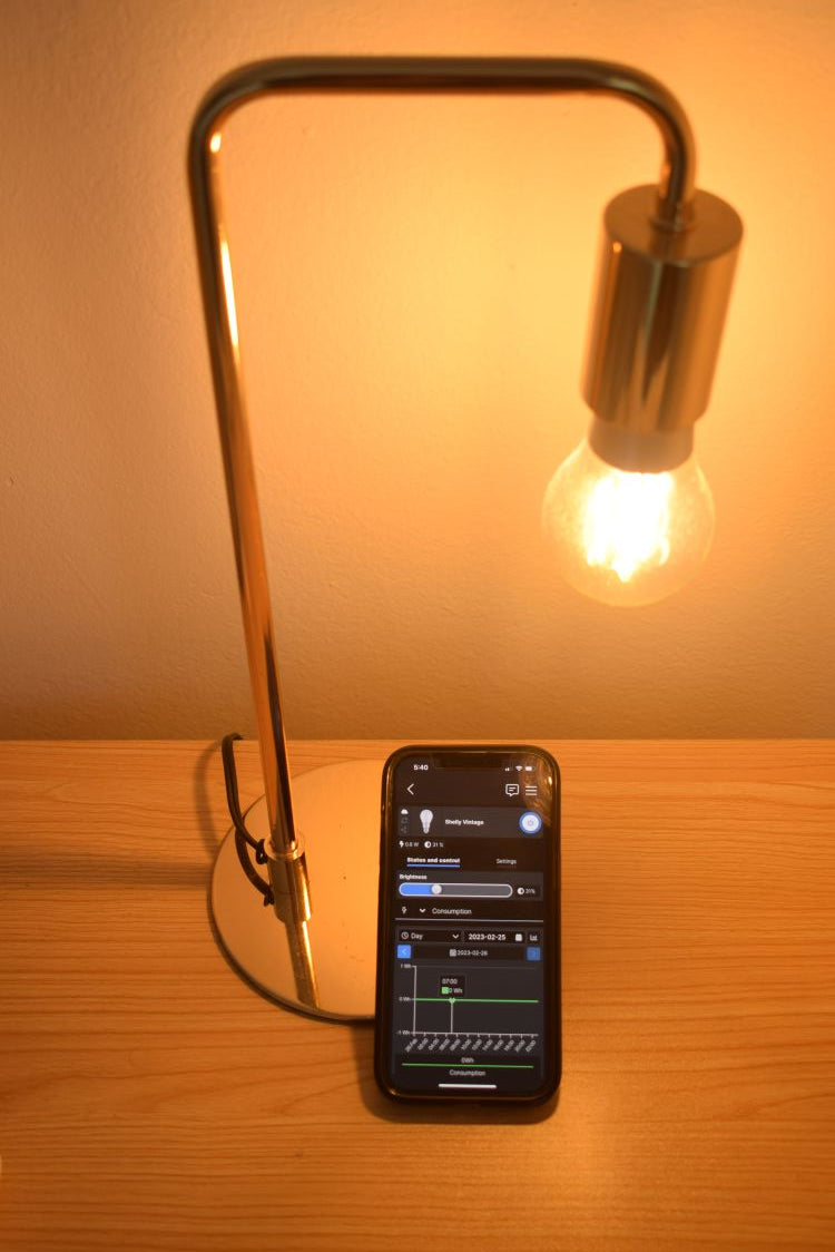 Shelly Vintage A19 - Night Table Light